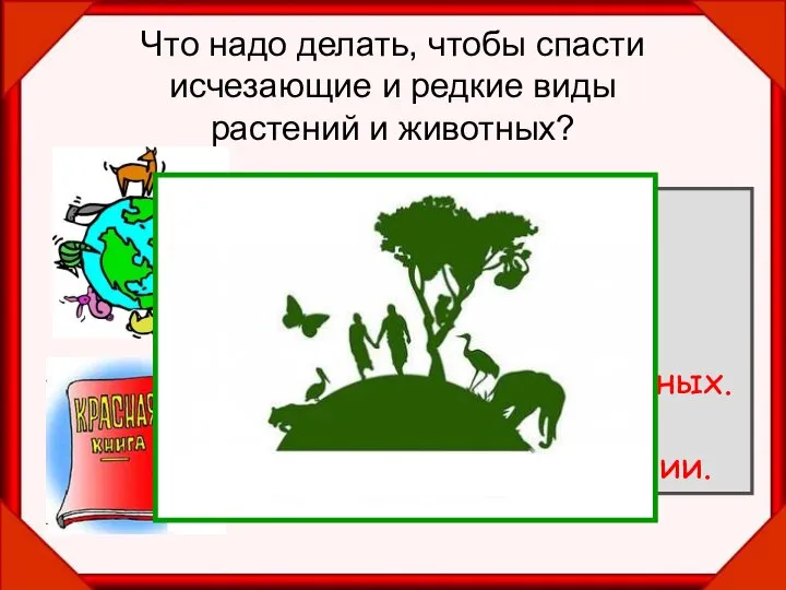 Что надо делать, чтобы спасти исчезающие и редкие виды растений и