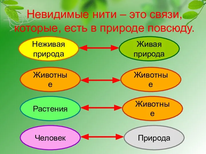 Невидимые нити – это связи, которые, есть в природе повсюду. Неживая