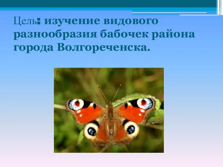 Цель: изучение видового разнообразия бабочек района города Волгореченска.