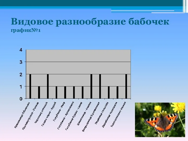 Видовое разнообразие бабочек график№1