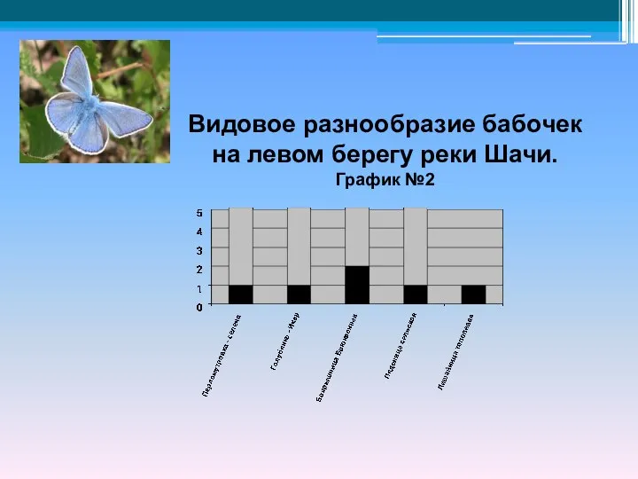 Видовое разнообразие бабочек на левом берегу реки Шачи. График №2