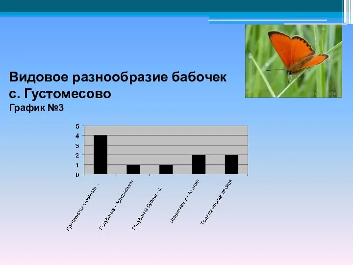 Видовое разнообразие бабочек с. Густомесово График №3