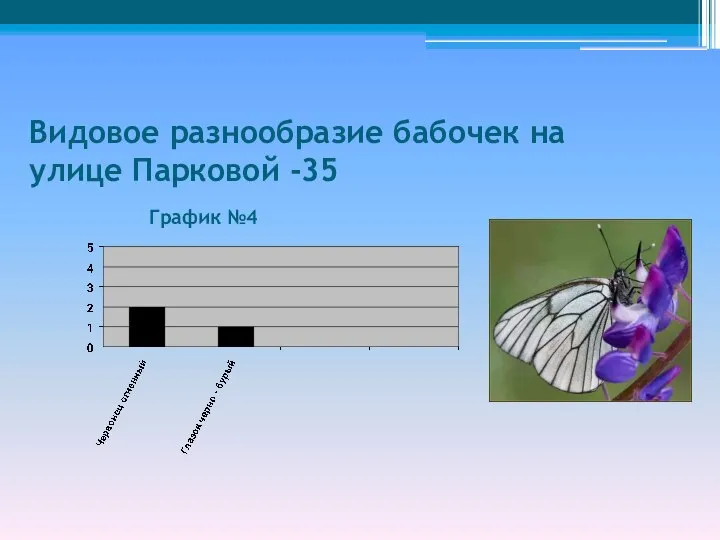 Видовое разнообразие бабочек на улице Парковой -35 График №4