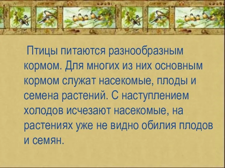 Птицы питаются разнообразным кормом. Для многих из них основным кормом служат