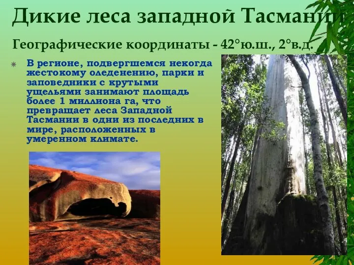 Дикие леса западной Тасмании Географические координаты - 42°ю.ш., 2°в.д. В регионе,