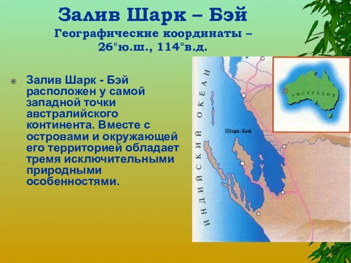Залив Шарк – Бэй Географические координаты – 26°ю.ш., 114°в.д. Залив Шарк