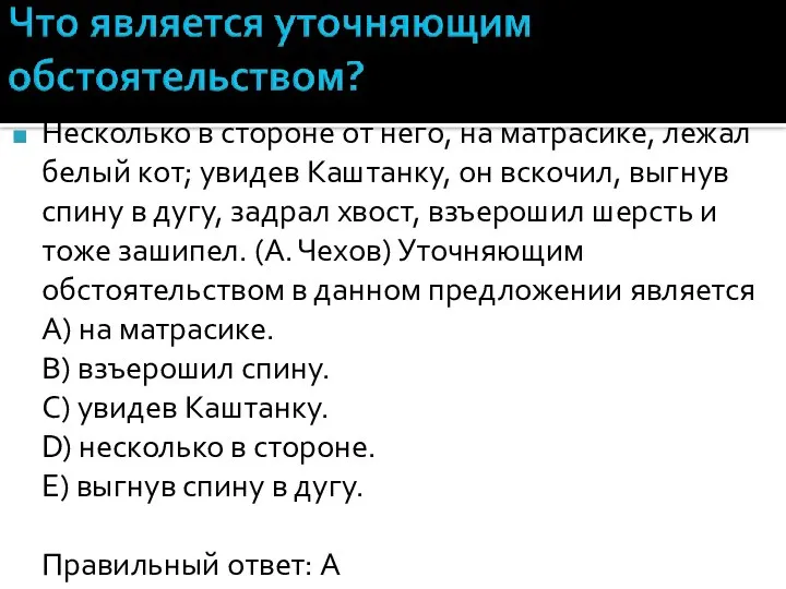 Несколько в стороне от него, на матрасике, лежал белый кот; увидев