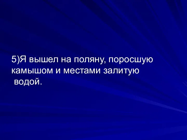 5)Я вышел на поляну, поросшую камышом и местами залитую водой.