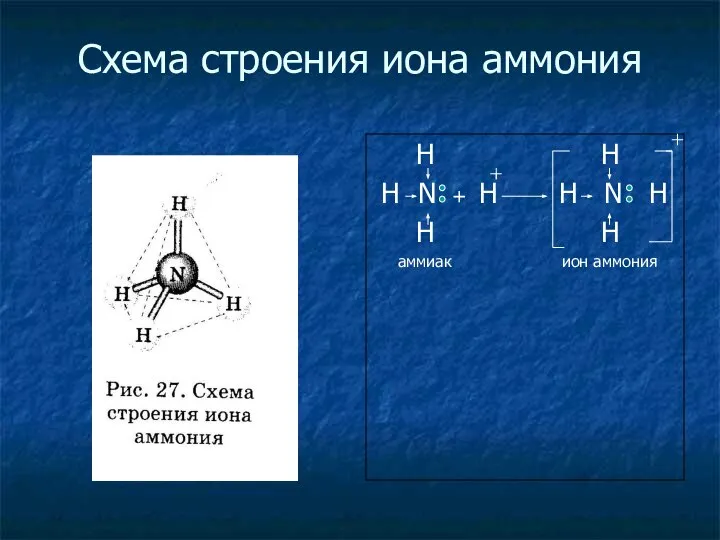 Схема строения иона аммония H H H N + H H