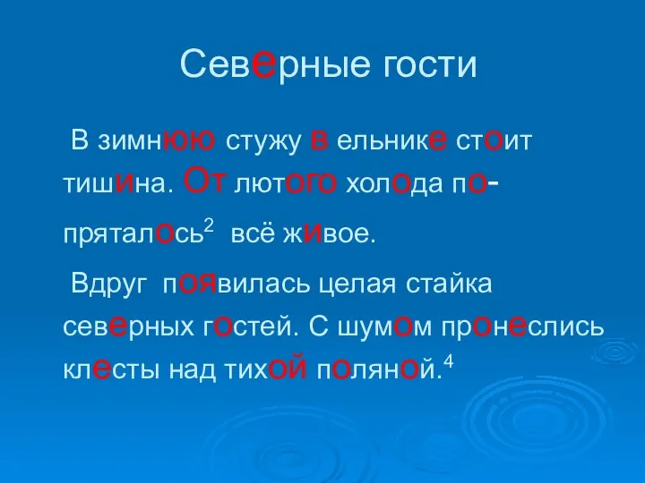 Северные гости В зимнюю стужу в ельнике стоит тишина. От лютого