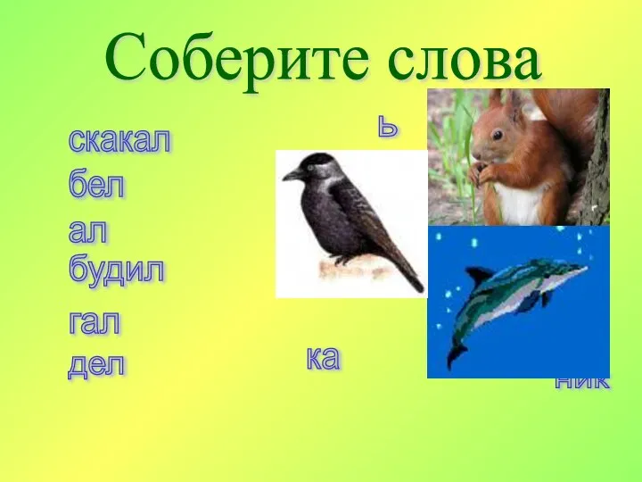 скакал ка бел ка ал ь будил ь ник дел ь