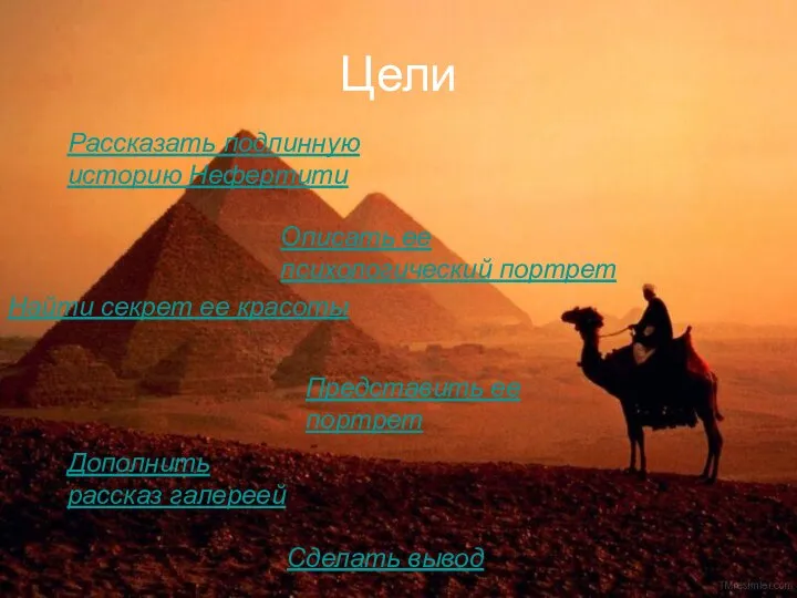 Цели Рассказать подлинную историю Нефертити Описать ее психологический портрет Найти секрет