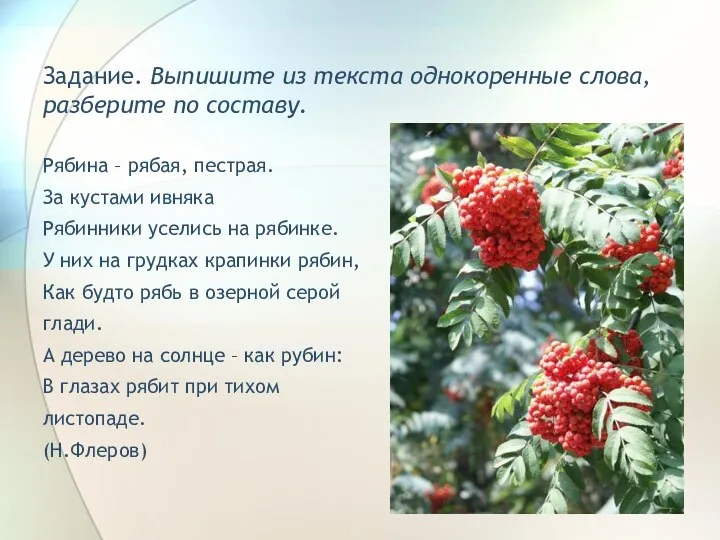 Задание. Выпишите из текста однокоренные слова, разберите по составу. Рябина –