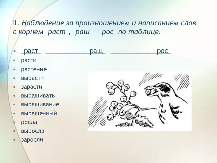 II. Наблюдение за произношением и написанием слов с корнем -раст-, -ращ-