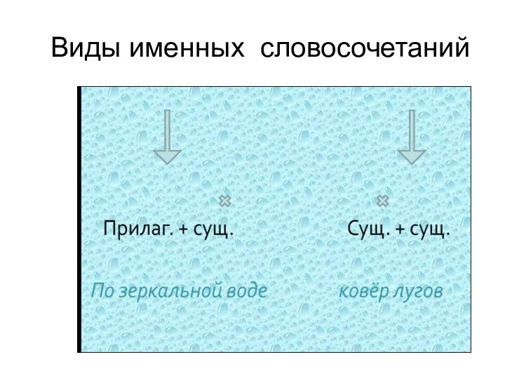 Виды именных словосочетаний