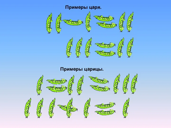 Примеры царя. Примеры царицы.