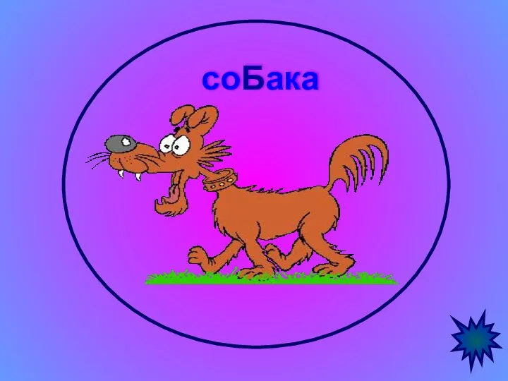 соБака