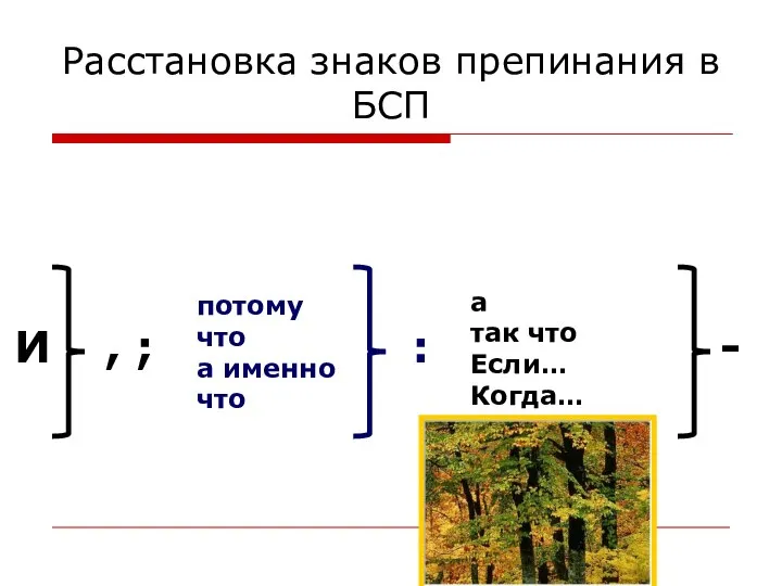 Расстановка знаков препинания в БСП И , ; потому что а