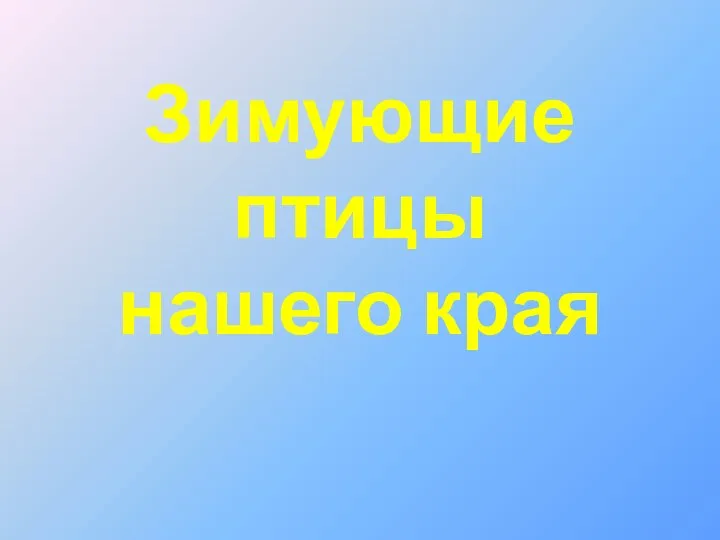 Зимующие птицы нашего края