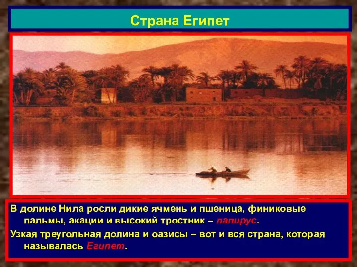 В долине Нила росли дикие ячмень и пшеница, финиковые пальмы, акации