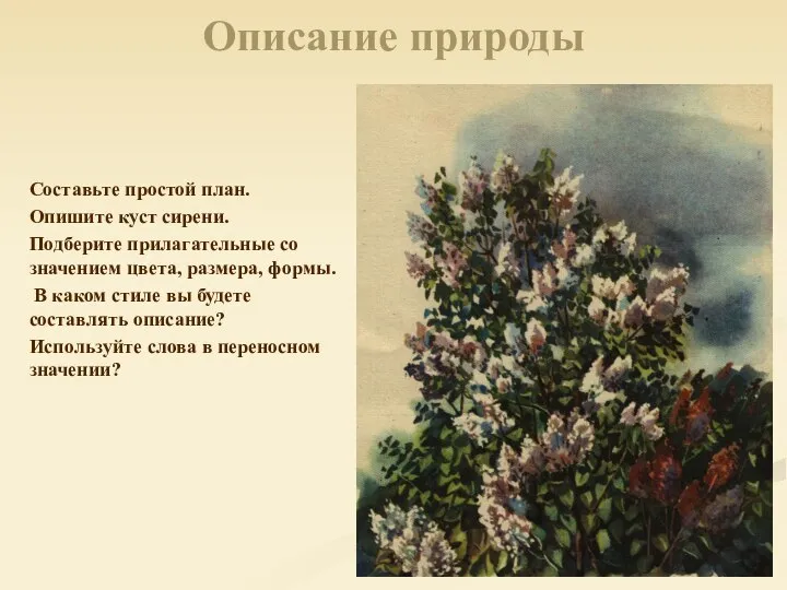 Описание природы Составьте простой план. Опишите куст сирени. Подберите прилагательные со