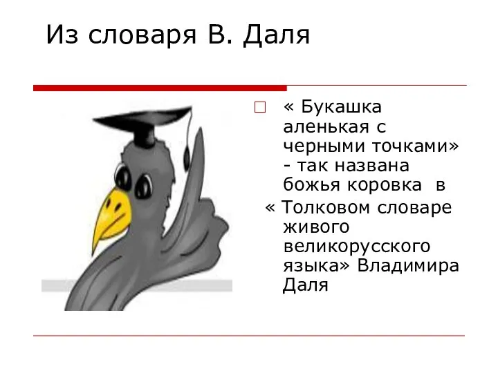 Из словаря В. Даля « Букашка аленькая с черными точками»- так