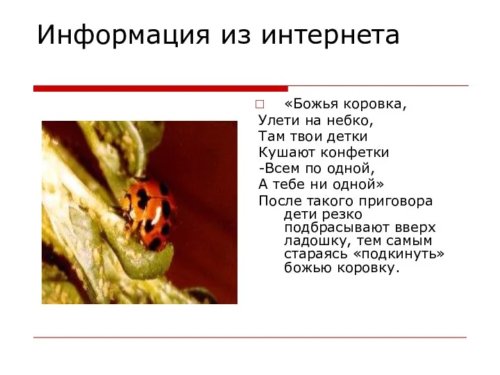 Информация из интернета «Божья коровка, Улети на небко, Там твои детки