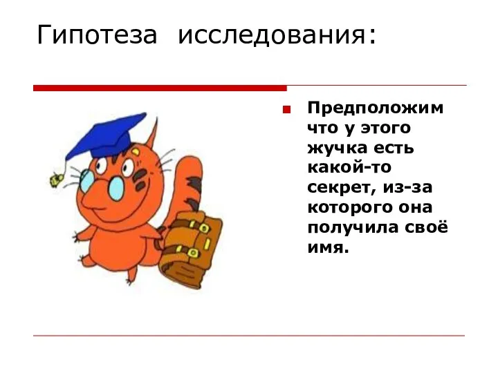 Гипотеза исследования: Предположим что у этого жучка есть какой-то секрет, из-за которого она получила своё имя.