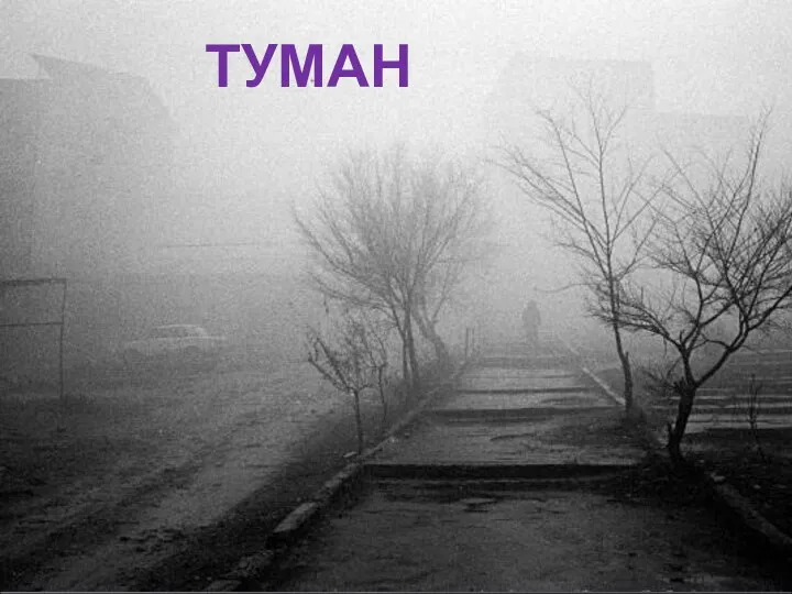 ТУМАН