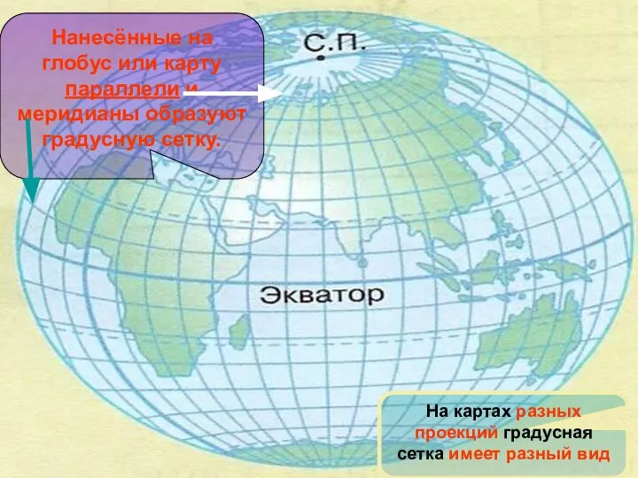 Нанесённые на глобус или карту параллели и меридианы образуют градусную сетку.