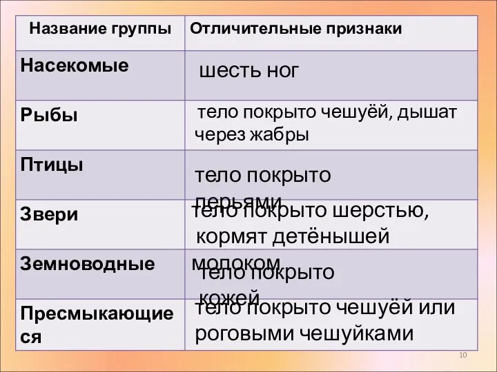 шесть ног тело покрыто чешуёй, дышат через жабры тело покрыто перьями