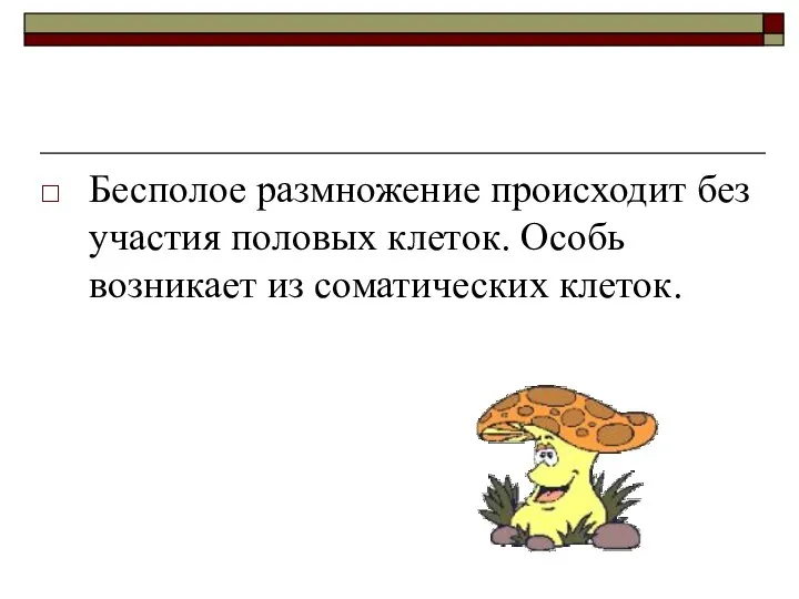 Бесполое размножение происходит без участия половых клеток. Особь возникает из соматических клеток.