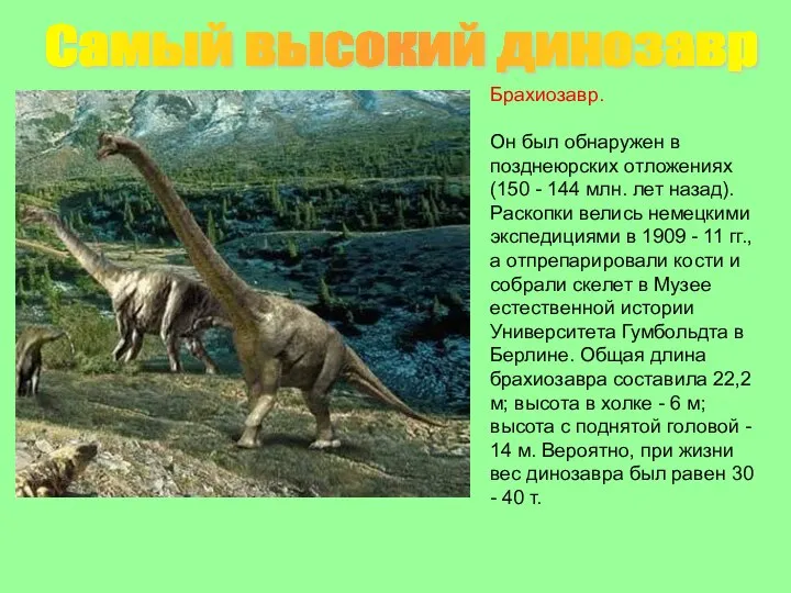 Брахиозавр. Он был обнаружен в позднеюрских отложениях (150 - 144 млн.