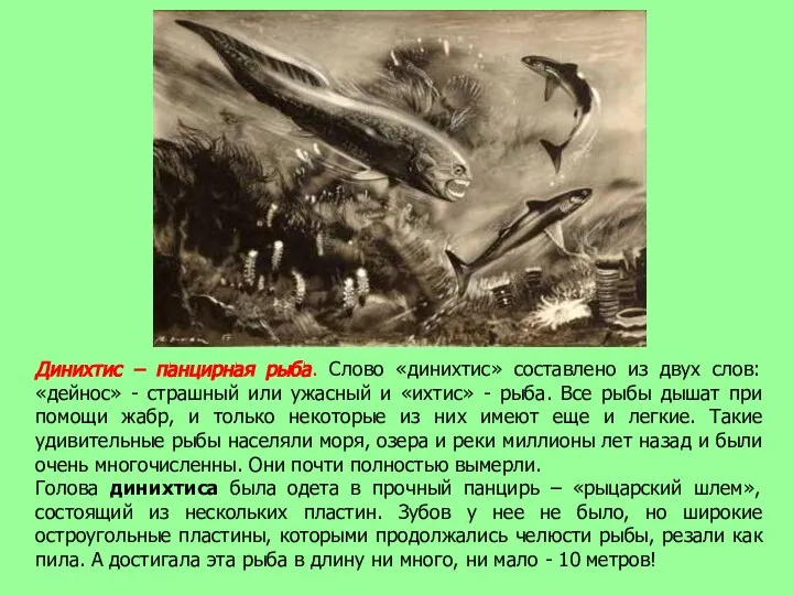 Динихтис – панцирная рыба. Слово «динихтис» составлено из двух слов: «дейнос»