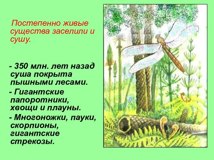 Постепенно живые существа заселили и сушу. Каменноугольный период - 350 млн.