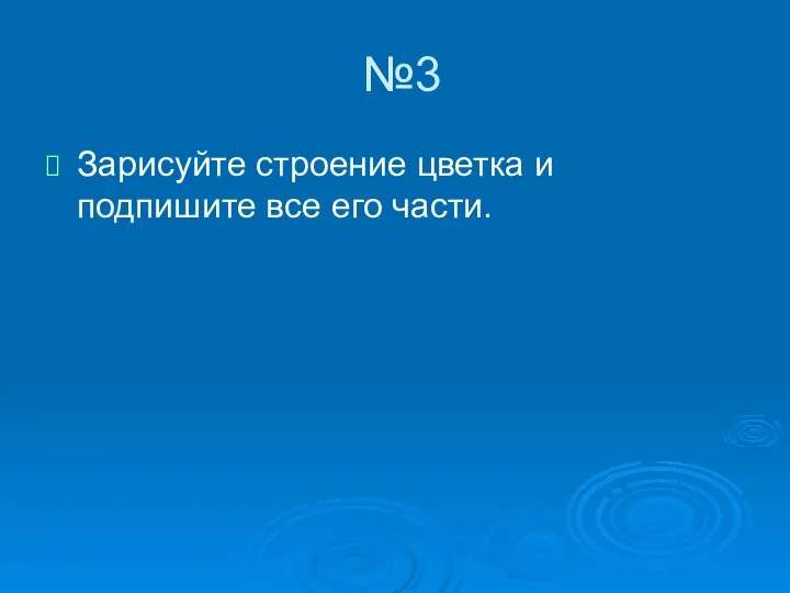 №3 Зарисуйте строение цветка и подпишите все его части.