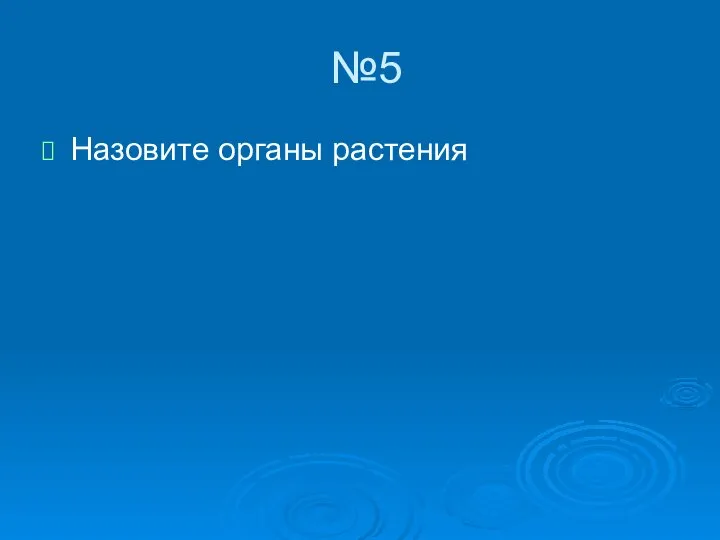 №5 Назовите органы растения