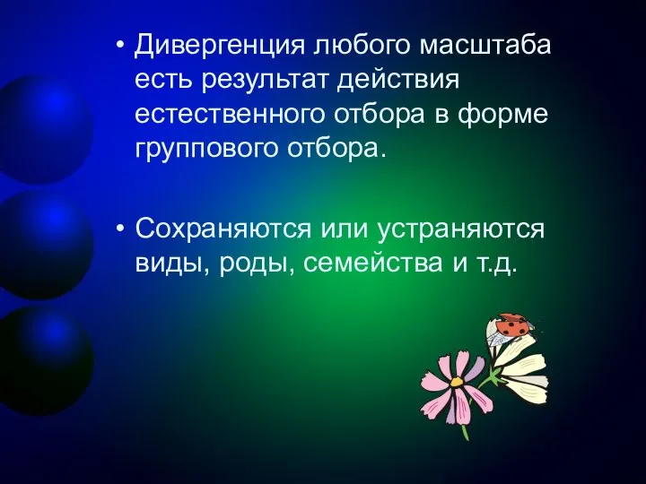 Дивергенция любого масштаба есть результат действия естественного отбора в форме группового