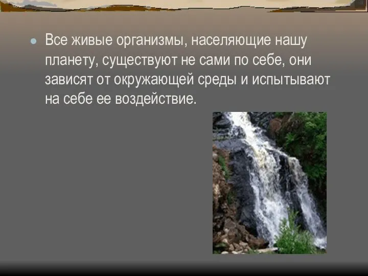 Все живые организмы, населяющие нашу планету, существуют не сами по себе,