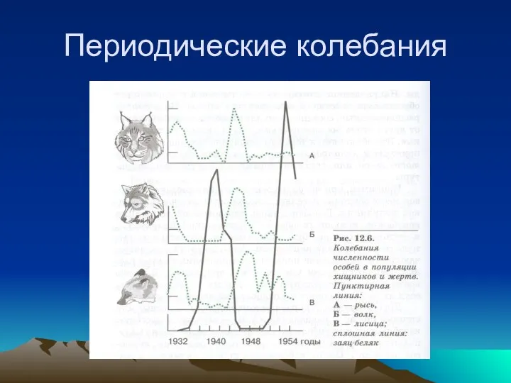 Периодические колебания