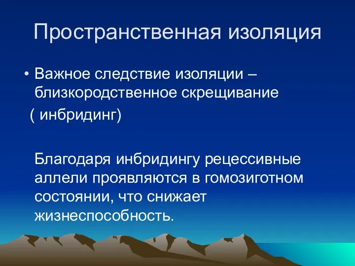 Пространственная изоляция Важное следствие изоляции – близкородственное скрещивание ( инбридинг) Благодаря