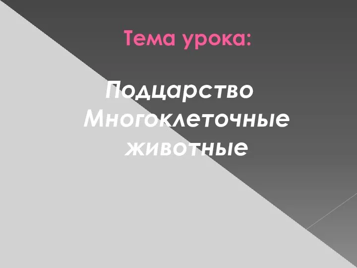 Тема урока: Подцарство Многоклеточные животные