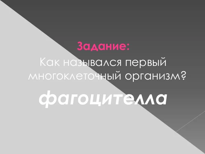 Задание: Как назывался первый многоклеточный организм? фагоцителла