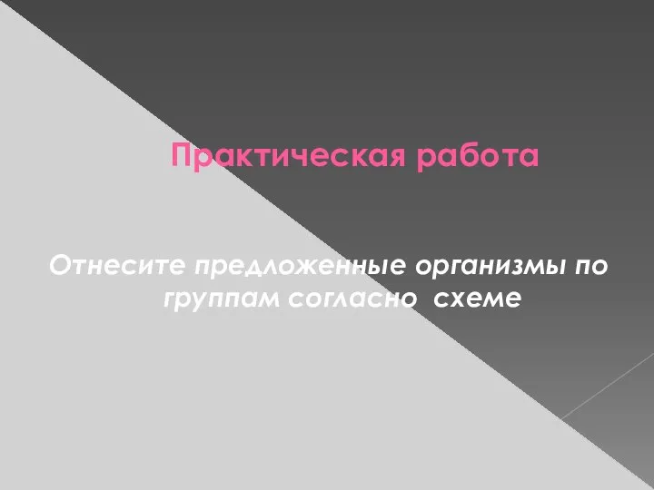 Практическая работа Отнесите предложенные организмы по группам согласно схеме