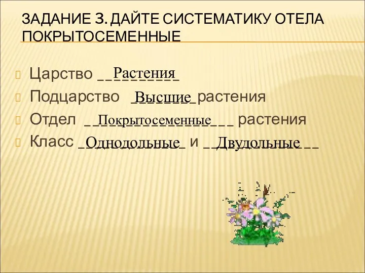 ЗАДАНИЕ 3. ДАЙТЕ СИСТЕМАТИКУ ОТЕЛА ПОКРЫТОСЕМЕННЫЕ Царство __________ Подцарство ________растения Отдел