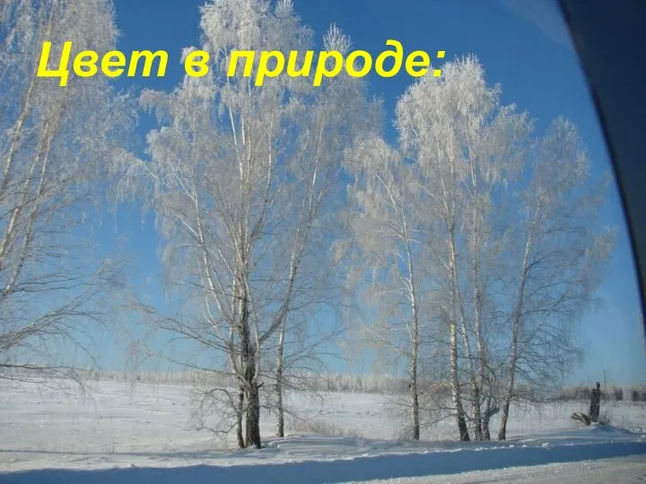 Цвет в природе: