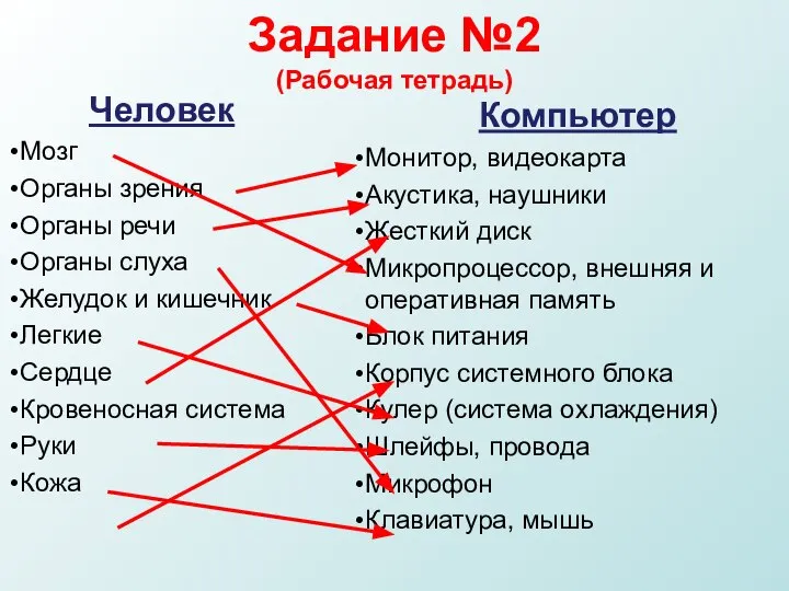 Задание №2 (Рабочая тетрадь) Человек Мозг Органы зрения Органы речи Органы