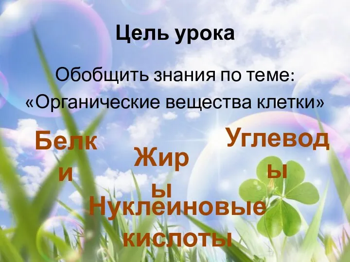 Цель урока Обобщить знания по теме: «Органические вещества клетки» Белки Жиры Углеводы Нуклеиновые кислоты