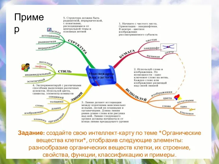 Пример Задание: создайте свою интеллект-карту по теме *Органические вещества клетки*, отобразив