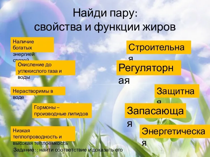 Найди пару: свойства и функции жиров Наличие богатых энергией связей Окисление